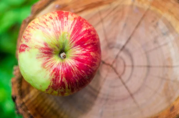 apple on stump, fruit wallpaper, fruits