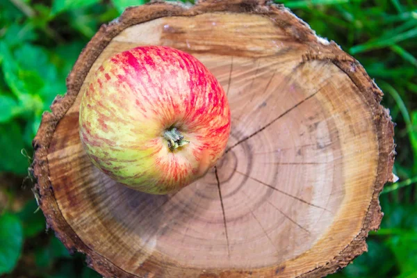 Stump Meyve Duvar Kağıdı Elma — Stok fotoğraf