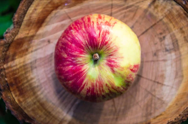 apple on stump, fruit wallpaper