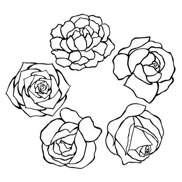 Quadro redondo vetorial de rosas. ilustração de estoque —  Vetores de Stock