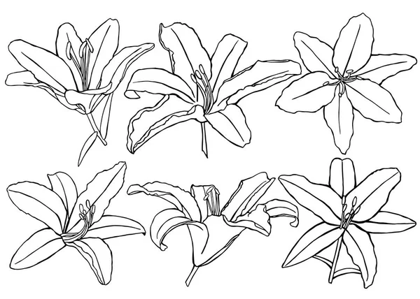 llustration, tasarım, göl kenarında, dekorasyon, tebrik, sanat,