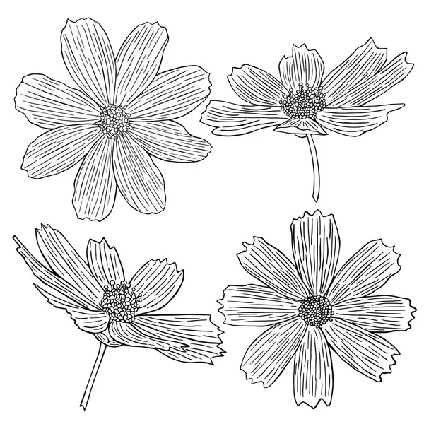 Dekoratif çiçek simgesi toplama, el-çizim vektör çizim kroki — Stok Vektör