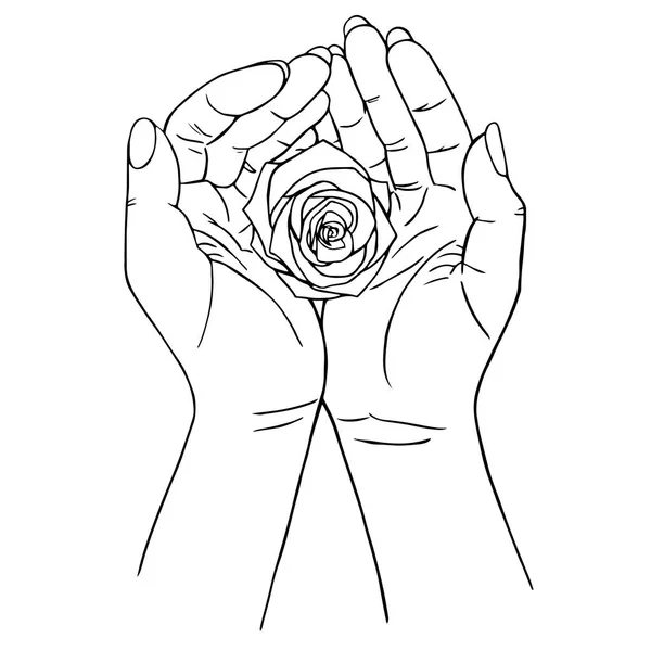 Rosa in mani, disegno a mano — Vettoriale Stock
