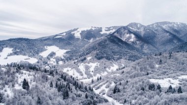 İnsansız hava aracı Jasna, Low Tatras, Slovakya 'da kar ve ağaçlarla kaplı dağ öfkesini yükseltti. Avrupa 'daki Karpatya Dağları' ndaki kayak merkezinde güzel bir kar harikası fotoğrafı..