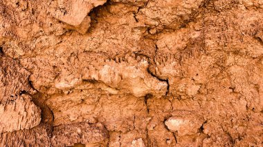 Kum taşı ve taş katman yapılarının ayrıntıları ejderha başını hatırlatan eşsiz bir şekil ve doku oluşturur. Şili 'deki San Pedro de Atacama yakınlarındaki Atacama Çölü' nde doğal kaya oluşumu. Arkaplan