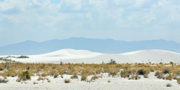Arka planda dağlar ile Güney New Mexico çölünde beyaz kum kumul