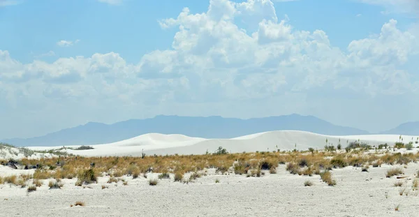 Dunas Areia Branca Com Montanhas Fundo Sul Novo México — Fotografia de Stock