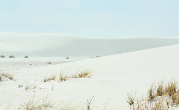 Dunas Areia Branca Gramíneas Dia Com Céu Azul Nuvens — Fotografia de Stock