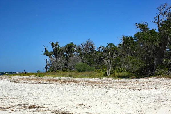 Praia e árvores no Saint Simons Sound — Fotografia de Stock