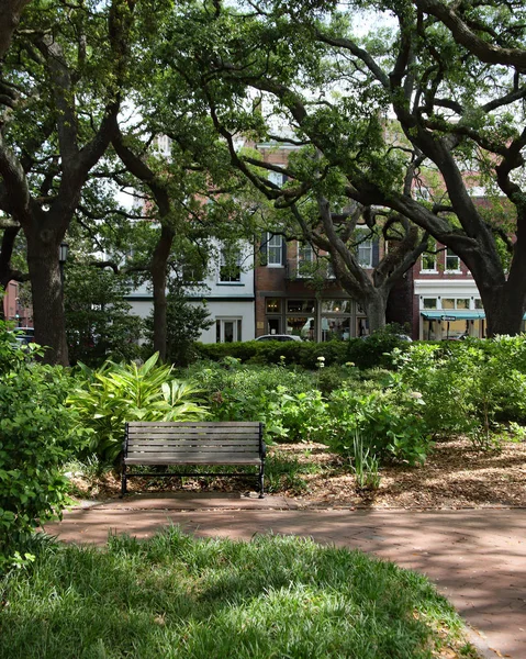 View of a park in the historic district, Savannah Georgia — Stock Photo, Image