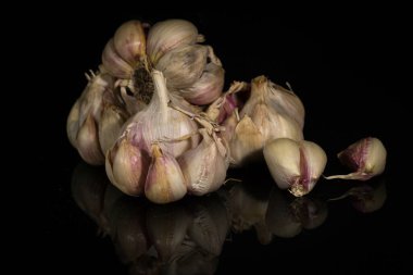 Fotoğrafta sarımsak başları ve karanfillerden oluşan küçük bir grup karanlık ve yansıtıcı bir yüzeye serilmiş. Bireysel karanfiller yan yana yatıyorlar..