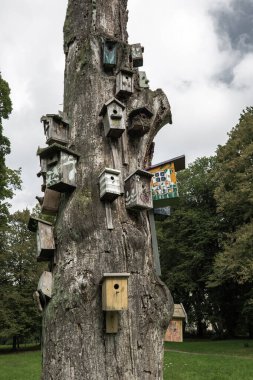 Yeşil bir çayırın ortasında, tepesi kırık, uzun, yaşlı ve kuru bir ağaç duruyor. Gövdesine düzinelerce kuş evi ve farklı şekil ve renkte yuva kutuları bağlanmış..