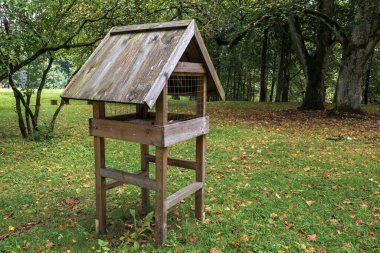 Parka yerleştirilmiş ahşap bir kuş yemliğinin yakın çekimi. Çevresinde yeşil çimenler, sararmış ve kırmızı yapraklar....
