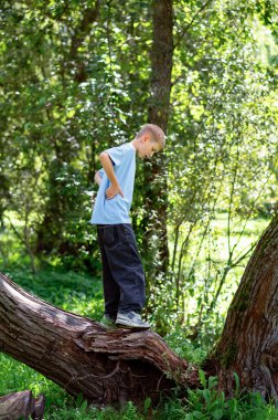 Güneşli yaz parkında büyük bir ağaç gövdesinde duran ergen çocuk, macera kavramı, doğa, çocukluk ve açık hava eğlencesi.