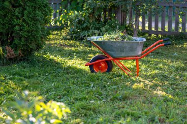 Arka bahçede kesilmiş çimlerle dolu el arabası bahçe bakımı, bahçe bakımı, bahçe bakımı ve mevsimlik bakım.