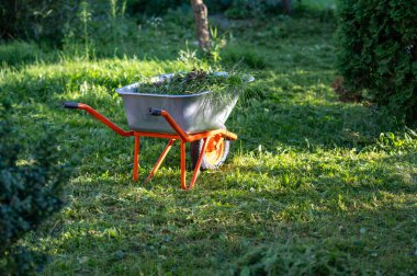 Arka bahçede kesilmiş çimlerle dolu el arabası bahçe bakımı, bahçe bakımı, bahçe bakımı ve mevsimlik bakım.