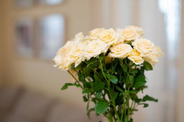 Güzel bir buket sarı gül, dekorasyon için taze çiçekler veya hediye.