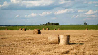 Bulutlu mavi bir gökyüzünün altında yeni biçilmiş bir tarlada saman balyalarıyla manzaralı kırsal alan.