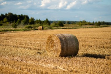 Bulutlu mavi bir gökyüzünün altında yeni biçilmiş bir tarlada saman balyalarıyla manzaralı kırsal alan.