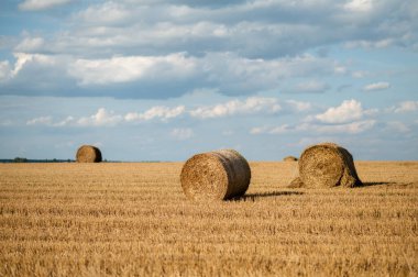 Bulutlu mavi bir gökyüzünün altında yeni biçilmiş bir tarlada saman balyalarıyla manzaralı kırsal alan.