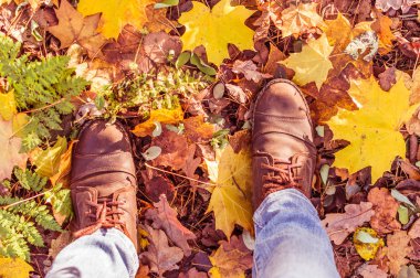 Ayakkabı sonbahar bir arka plan üzerinde bırakır. kavram sonbahar