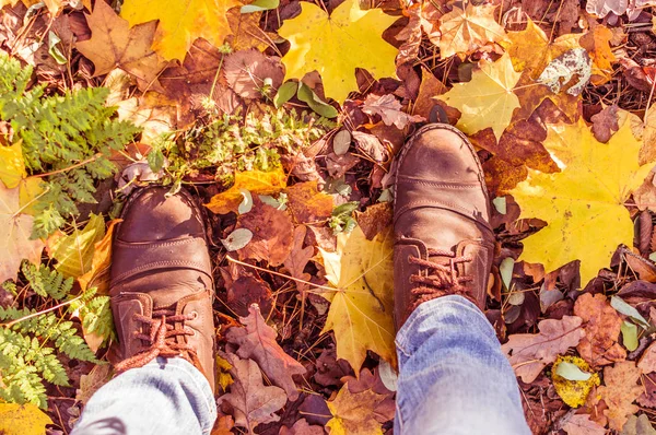 Ayakkabı sonbahar bir arka plan üzerinde bırakır. kavram sonbahar
