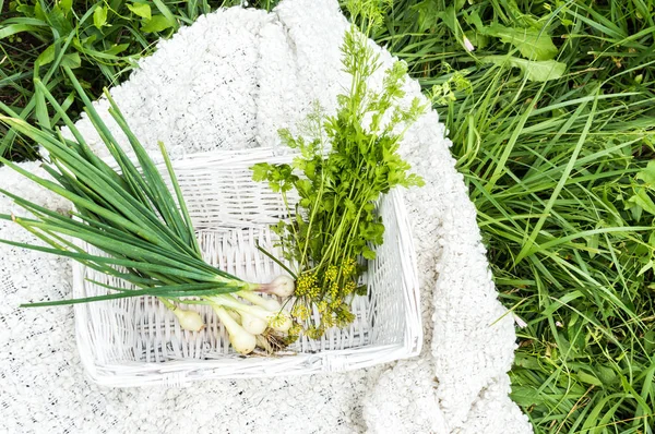 onion, dill and greens in a white basket on a white plaid on the grass. concept autumn and harvest