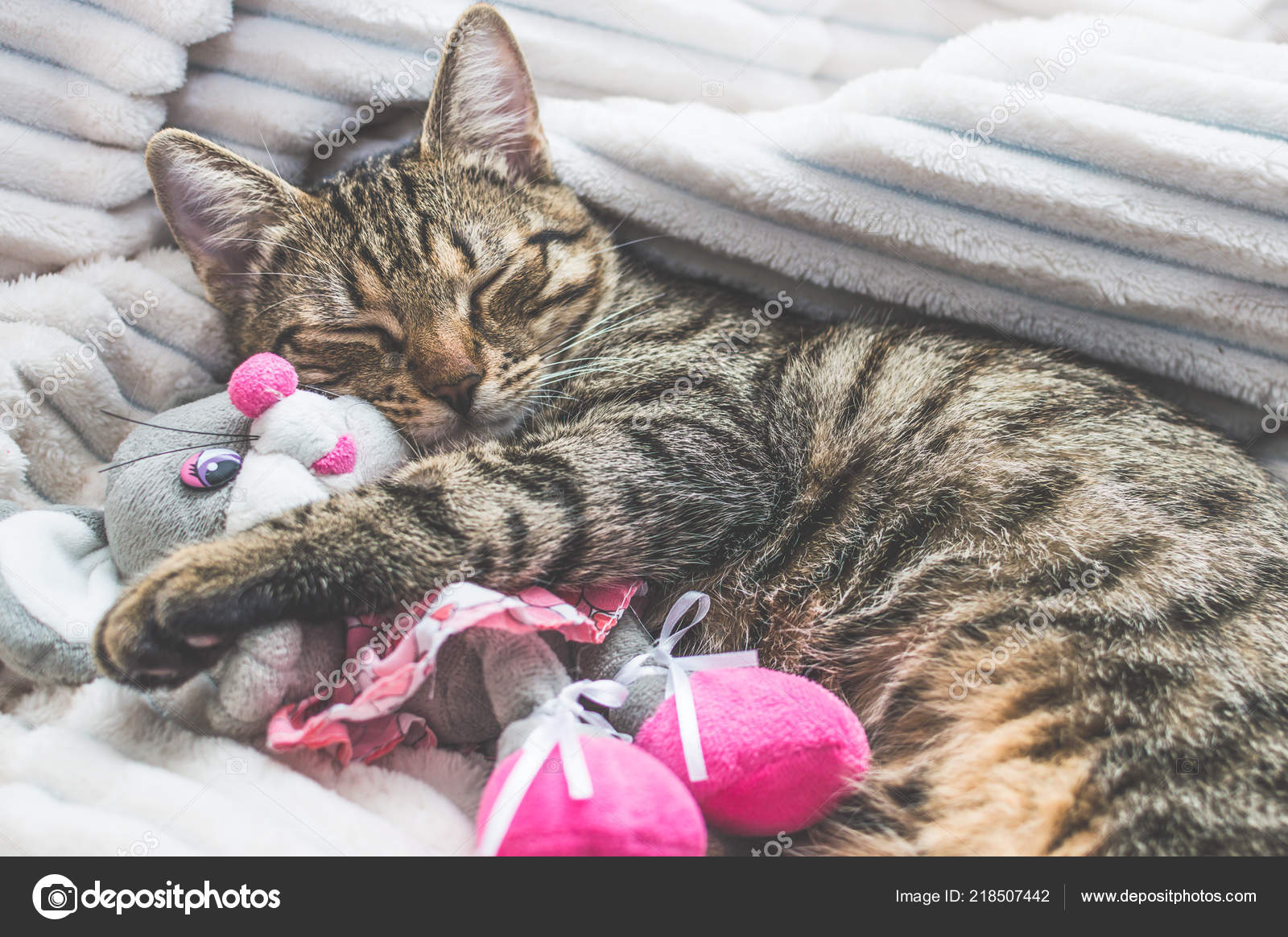 sleeping cat soft toy
