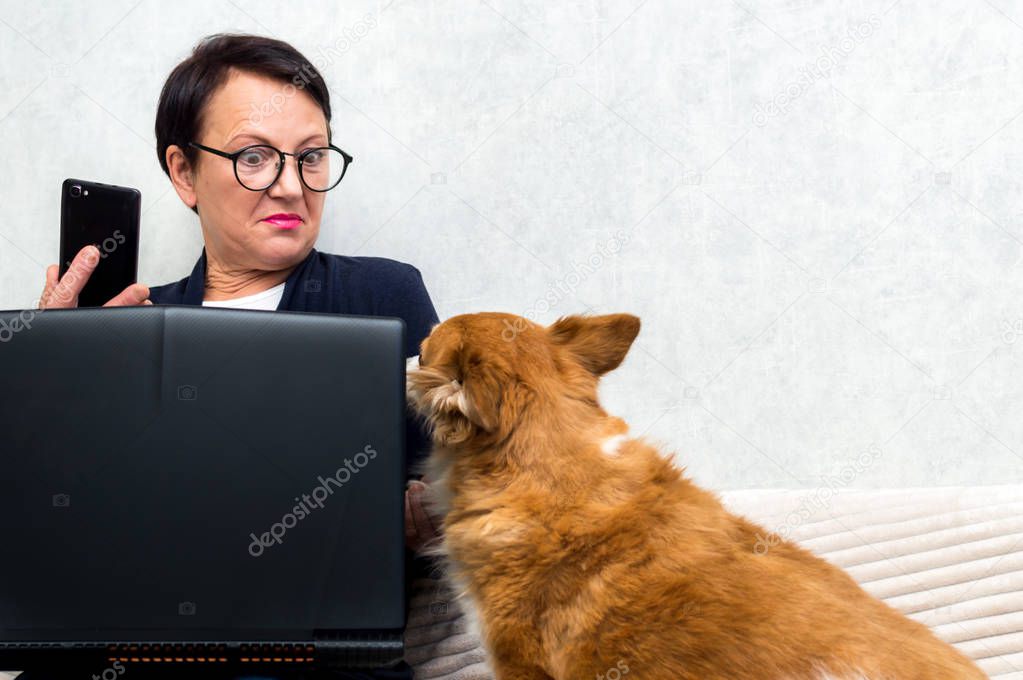 Portrait of senior woman ussing smartphone and computer while sitting on sofa with her dog