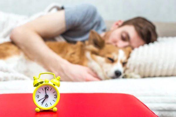 Joven Perro Están Durmiendo Juntos Despertador Primer Plano Concepto Mañana — Foto de Stock