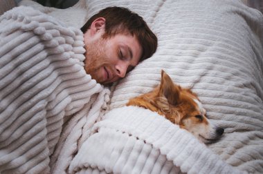 kırmızı köpek yatakta sahibi ile maske uyur. Kavram hafta sonu ve dinlenme