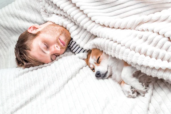 Господар спить зі своїм собакою в ліжку під ковдрою. Білий фон. Концептуальна собака в будинку. Концепція сну та відпочинку — стокове фото