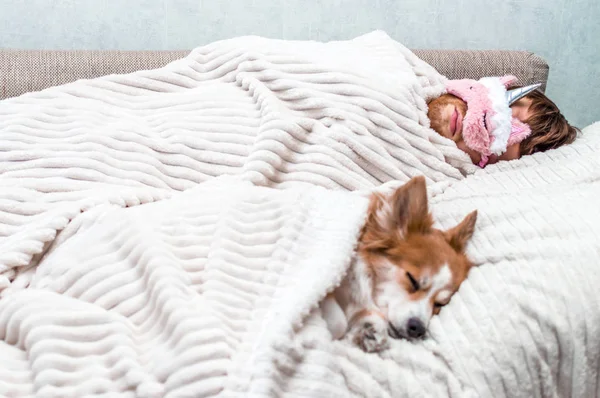 Red dog sleeps with his owner in a pink sleeping mask in the bed. Concept weekend and rest — Stock Photo, Image