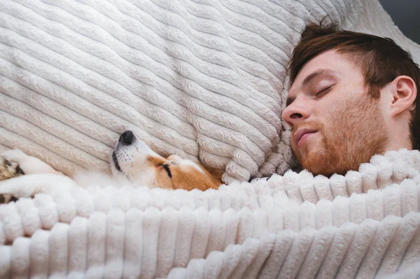 Господар спить зі своїм собакою в ліжку під ковдрою. Білий фон. Концепція вихідних. Концепція сну та відпочинку — стокове фото