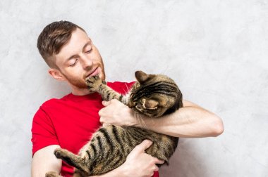 Genç adam gri arka planda bir kediyi kollarında tutuyor. İnsan ve kedi kavramı
