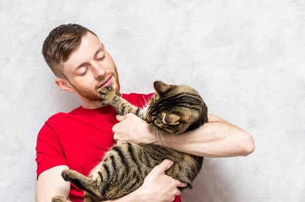 Genç adam gri arka planda bir kediyi kollarında tutuyor. İnsan ve kedi kavramı