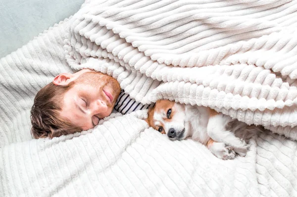 Господар відпочиває зі своєю собакою в ліжку під ковдрою. Білий фон. Концепція ранок — стокове фото