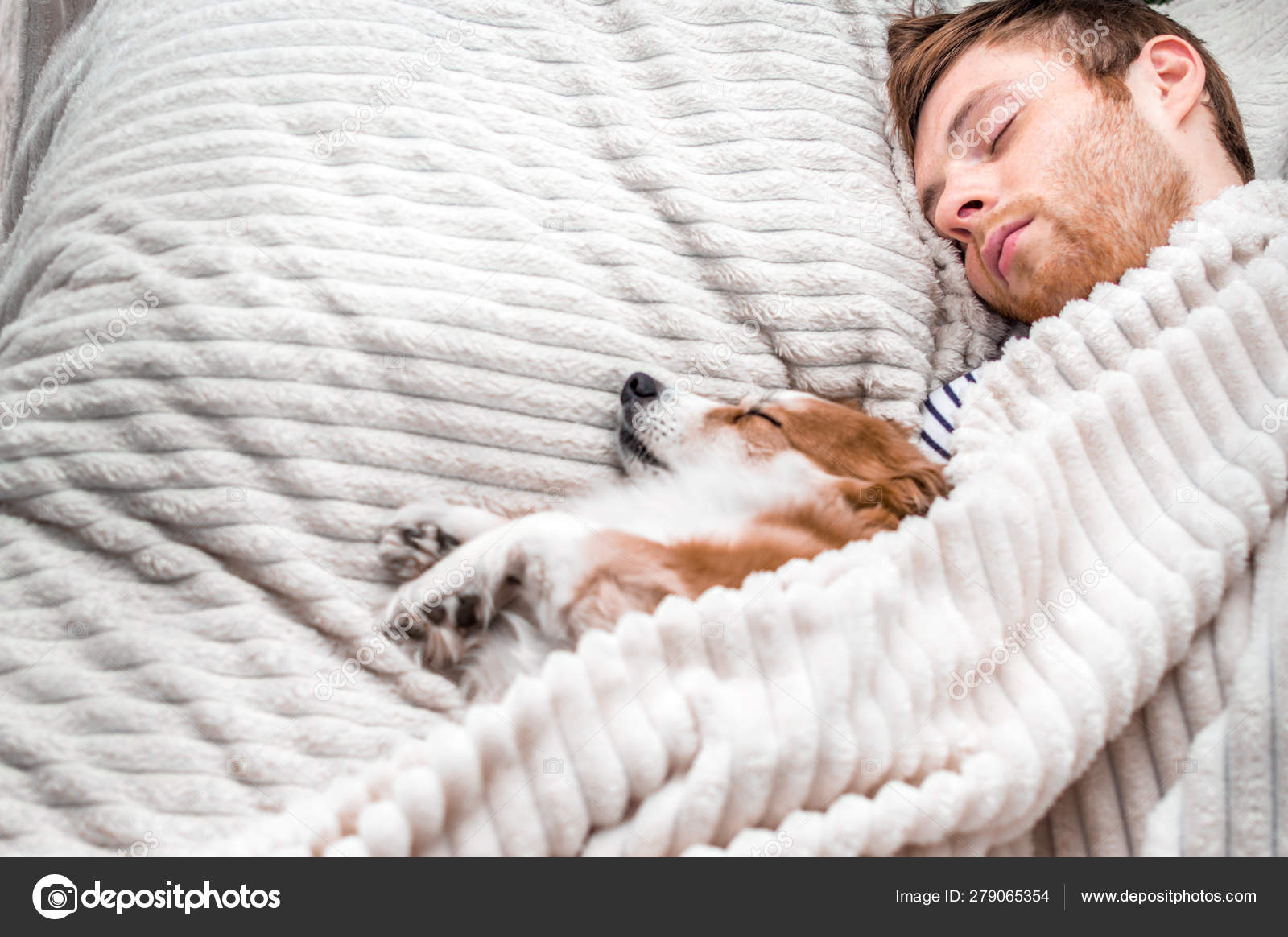 dog sleeping with blanket