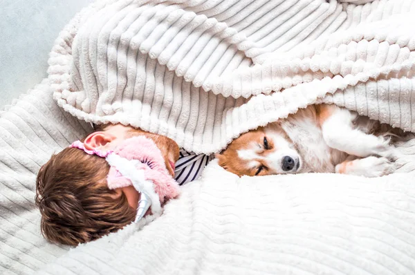 飼い主は毛布の下で犬とベッドで休んでいる。白い背景。コンセプトモーニング — ストック写真