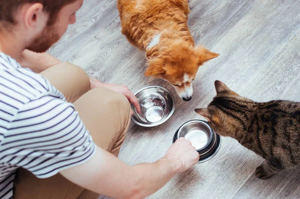 Propietario alimenta al perro y al gato juntos. Dos tazones vacíos. Cocina. Primer plano. concepto de alimento para mascotas — Foto de Stock