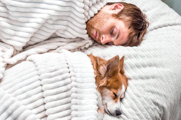 Perro rojo duerme con su dueño en la cama. Concepto fin de semana y descanso — Foto de Stock