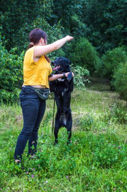 Sahibi köpeğini dışarıda eğitiyor. Büyük siyah köpek iki pençe üzerinde duruyor.