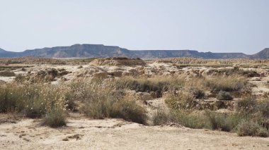 Bardenas Reales in Navarre, Spain, features a semi-desert landscape with arid terrain and sparse vegetation. The foreground displays rugged, eroded soil formations with patches of hardy grasses 