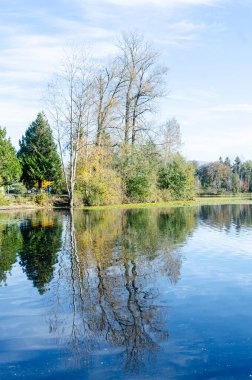 Abbotsford 'daki Mill Gölü, British Columbia, Kanada
