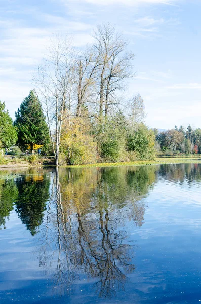 Abbotsford 'daki Mill Gölü, British Columbia, Kanada