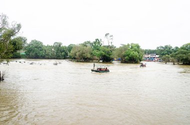 Kushalnagar, Madikeri, Karnataka, Hindistan 'daki Dubare' deki fil kampı.