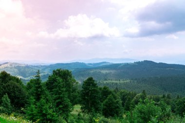 Güneş ışığı altında bulutlar ile akşam gökyüzü altında Dağ ormanı manzara. Bulutlar ile sabah gökyüzünün altında görkemli dağlar manzara. Fırtınadan önce bulutlu gökyüzü. Karpat, Ukrayna, Avrupa.