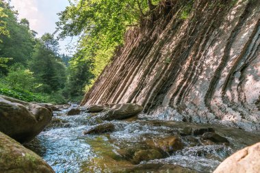 Dağ nehri su manzarası. Dağlardaki vahşi nehir. Dağ vahşi nehir manzarası