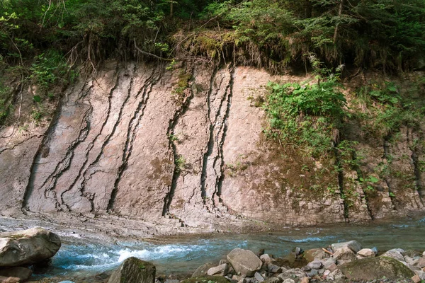 Dağ nehri su manzarası. Dağlardaki vahşi nehir. Dağ vahşi nehir manzarası