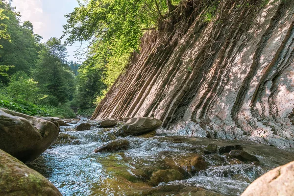 Dağ nehri su manzarası. Dağlardaki vahşi nehir. Dağ vahşi nehir manzarası
